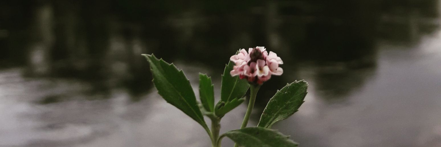 memodrdr07's profile banner image