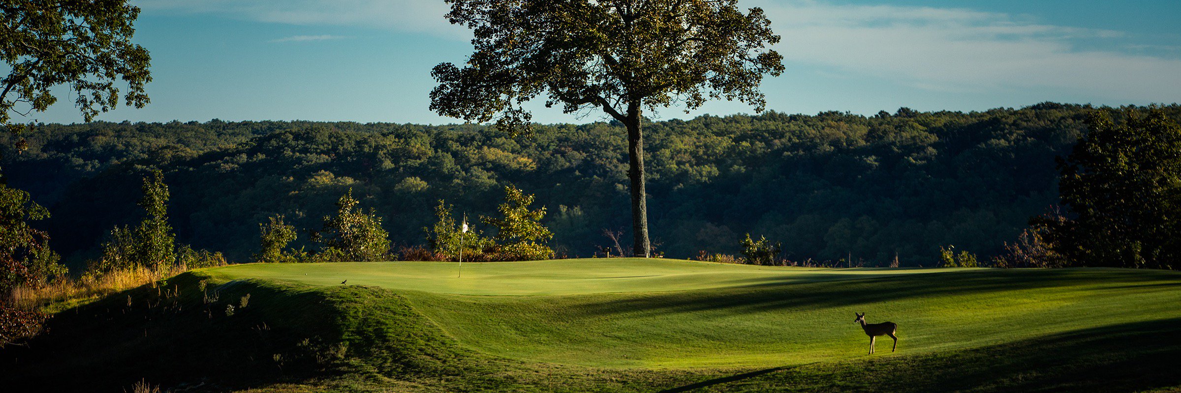 CourseAtSewanee's profile banner image