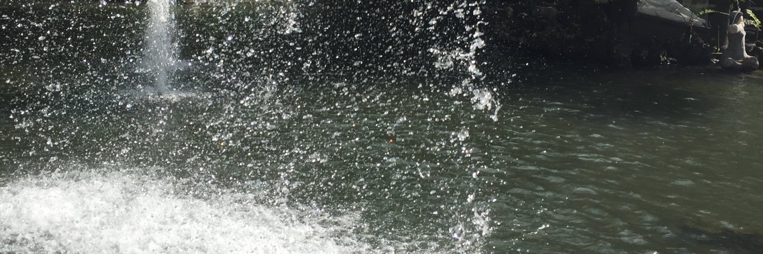 BeatriceKeiser's profile banner image