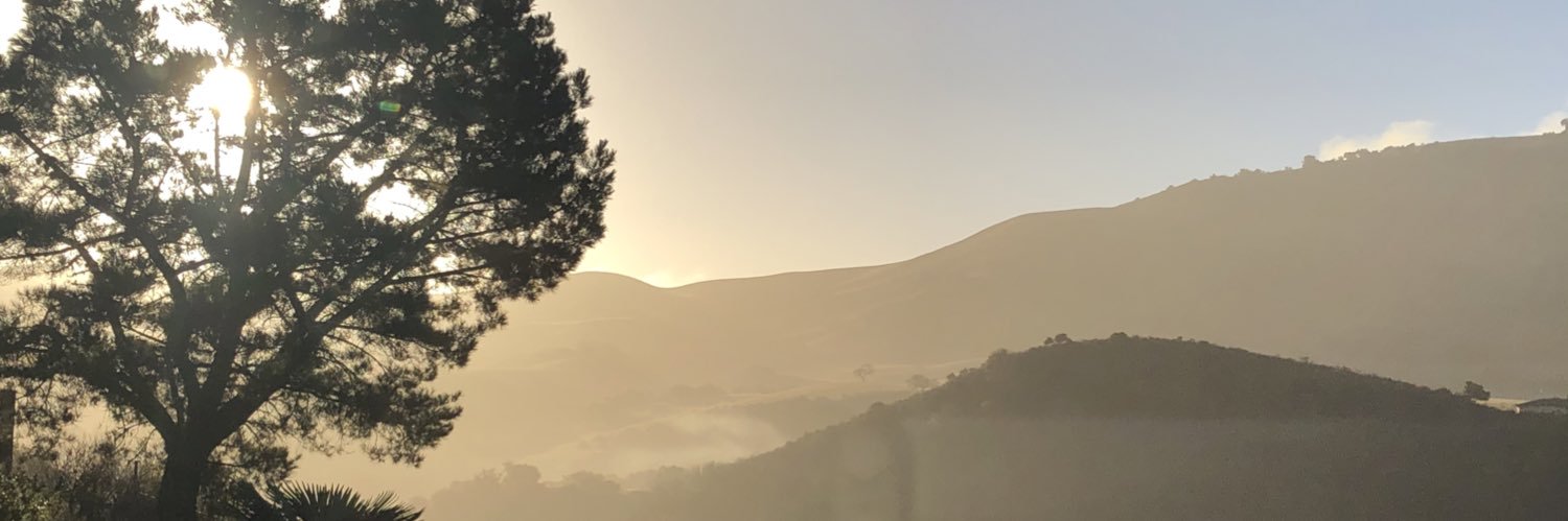 JGBellingham's profile banner image