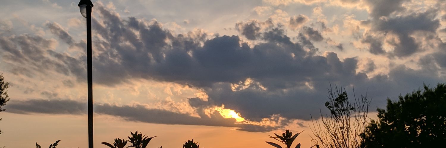AlyssaBlank3's profile banner image