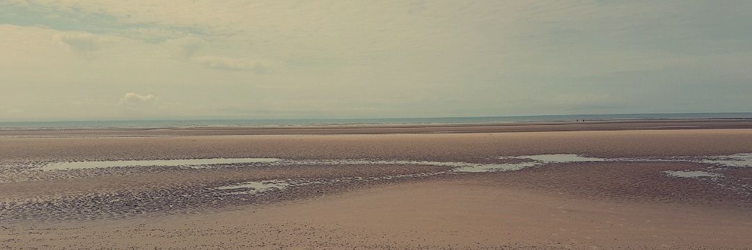 JulieHiggy's profile banner image