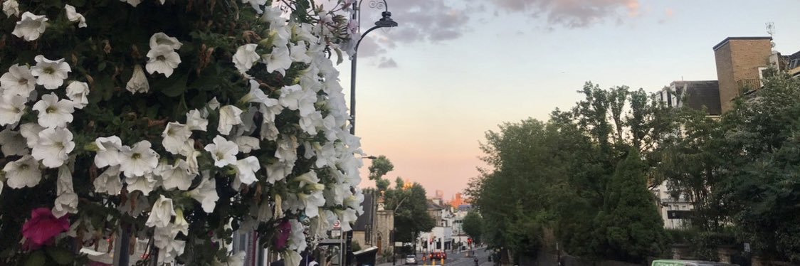 eloiseeshaw's profile banner image