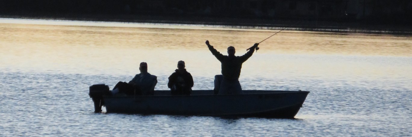 JeffSwanee's profile banner image