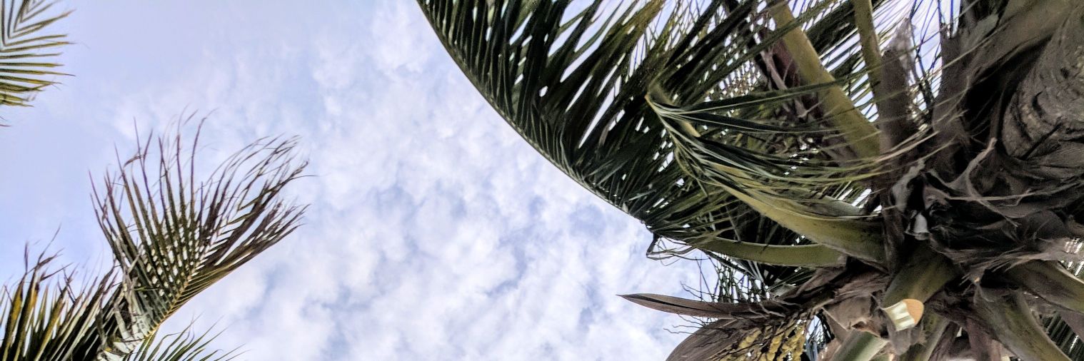 amaddog00's profile banner image