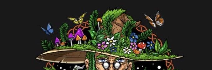 HippieDimitri's profile banner image