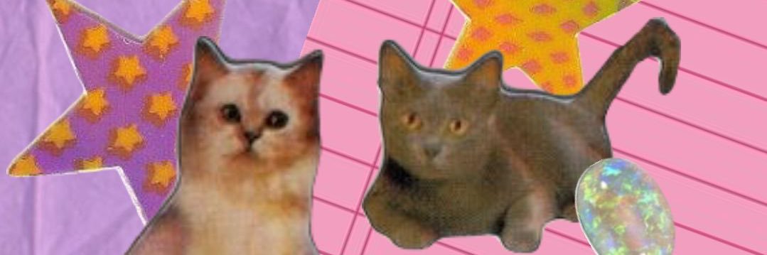 rainawehrli5's profile banner image