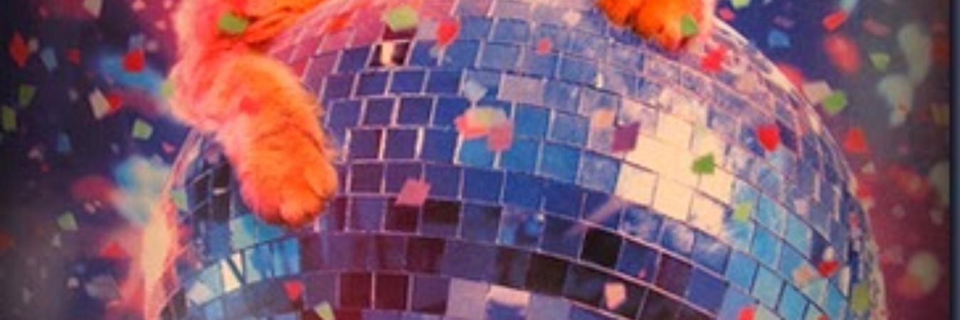 Daniela Alvarez banner