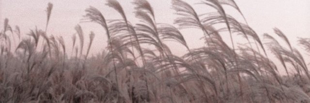 lapidist_'s profile banner image