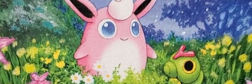 NovaCollects's profile banner image
