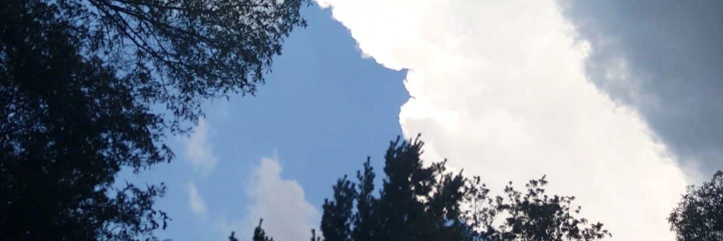 PeterPmanettas0's profile banner image