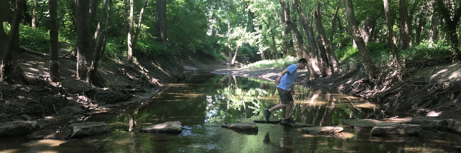 Bevan Schneck banner