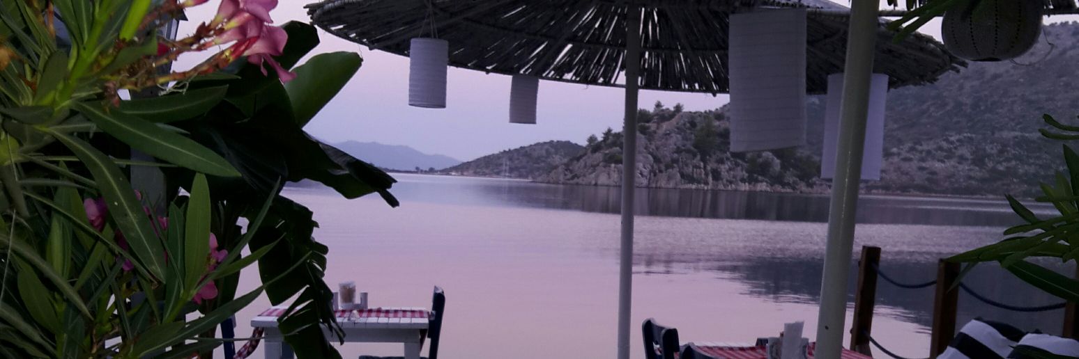 osoffy's profile banner image