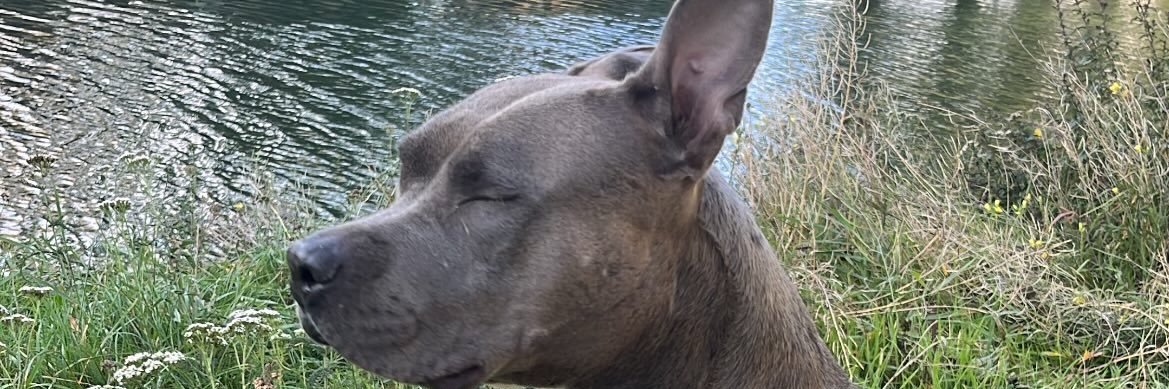 ly2fois_'s profile banner image