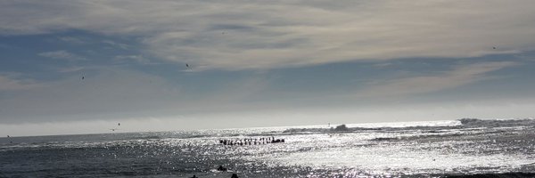 VCKiraly Profile Banner