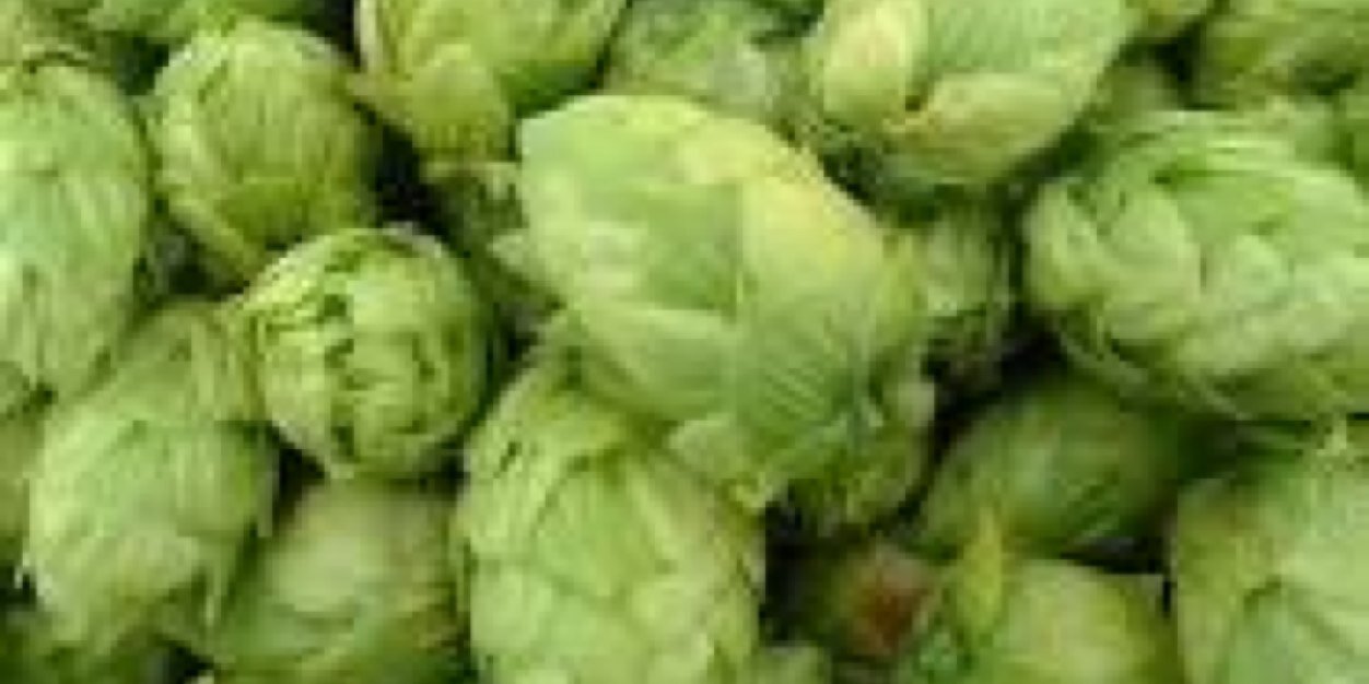 BigManBrewing's profile banner image