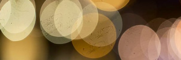F_b_ribeiro's profile banner image