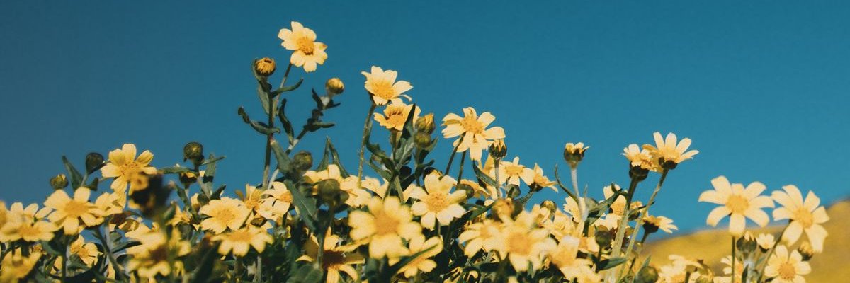 𝐀𝐫𝐲🍒 VAI TER O INGRESSO banner