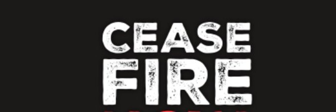 Luca Gervasoni i Vila banner