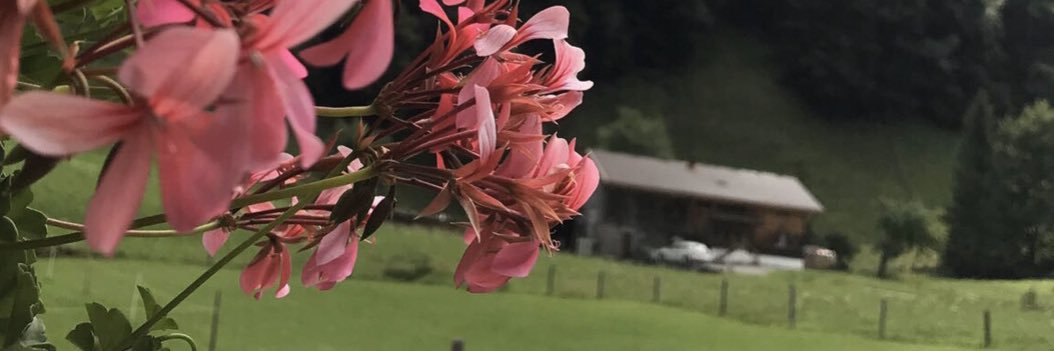 ahad3882's profile banner image