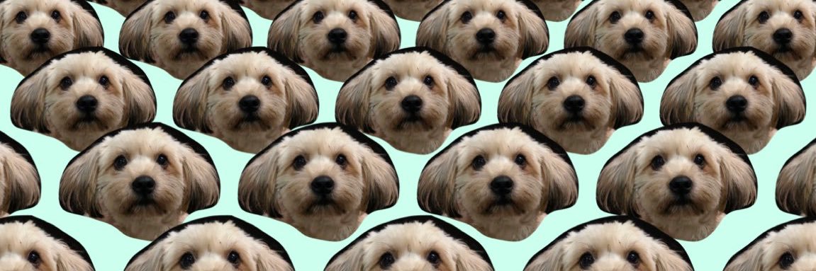 tintearjerky's profile banner image