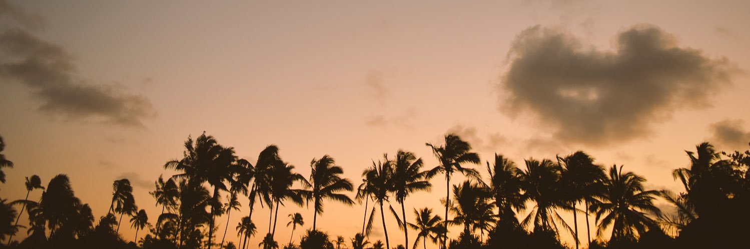 RdMarples's profile banner image