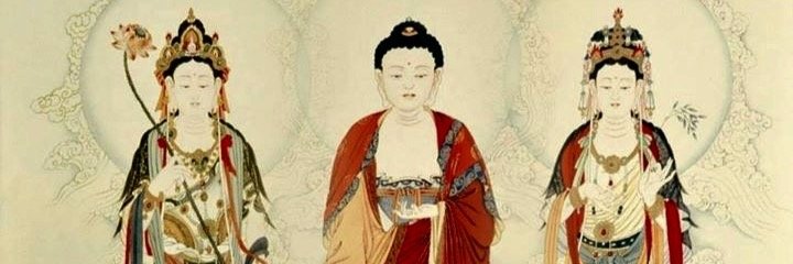 tweeterrey's profile banner image