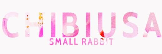 Chibiusa Tsukino banner
