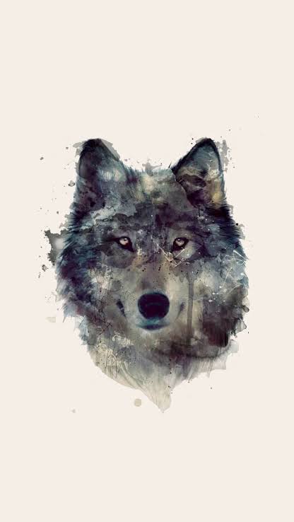 MSYRFA's profile banner image