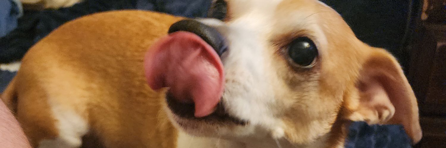 Goode_Girl13's profile banner image