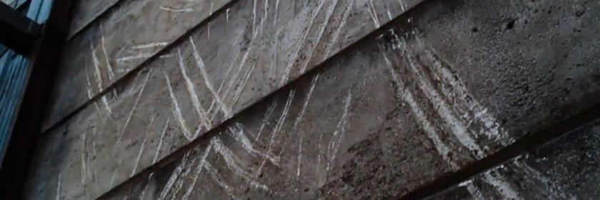 DemonRaze's profile banner image