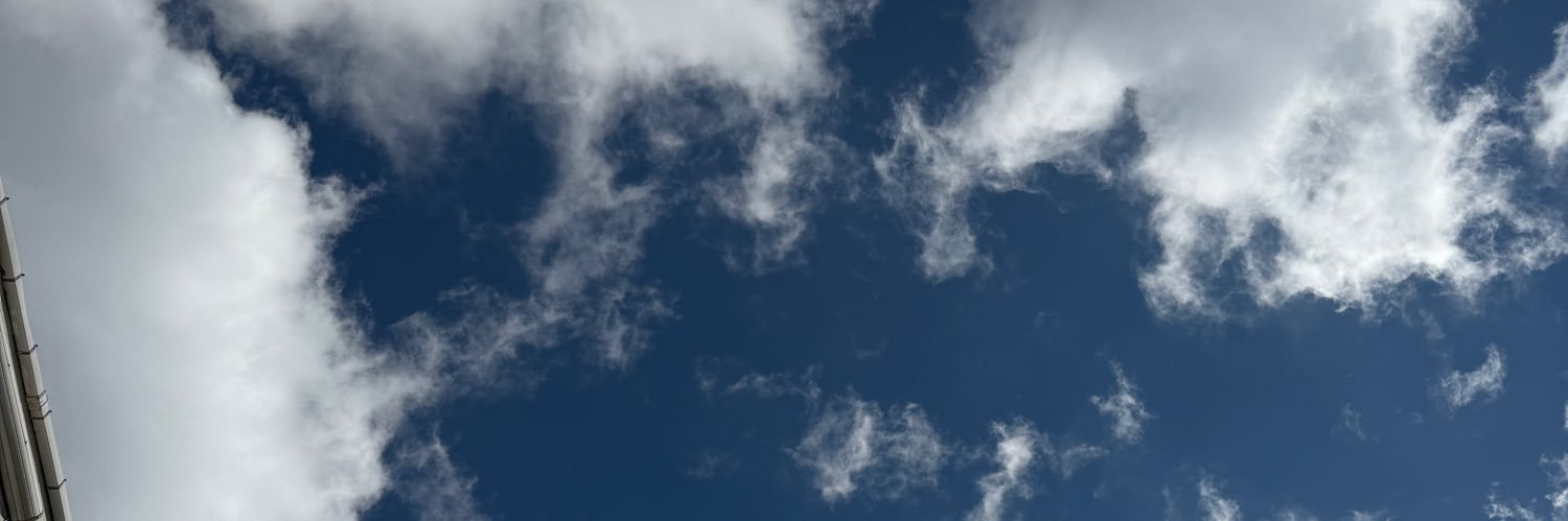 kbraylbs's profile banner image