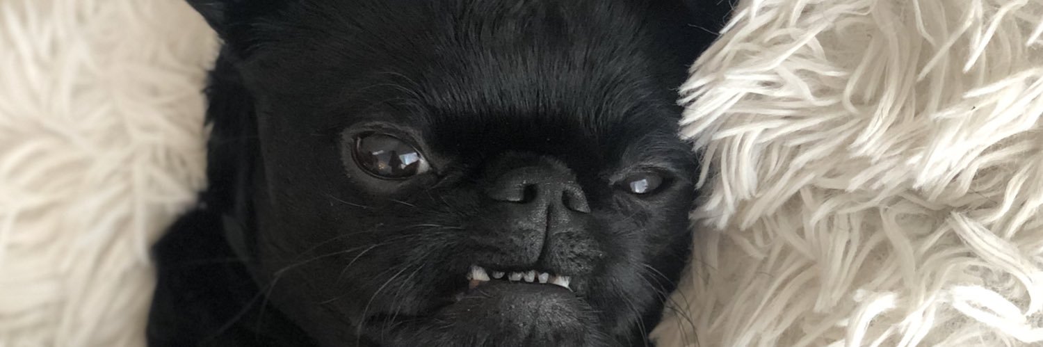 MegGilmour's profile banner image