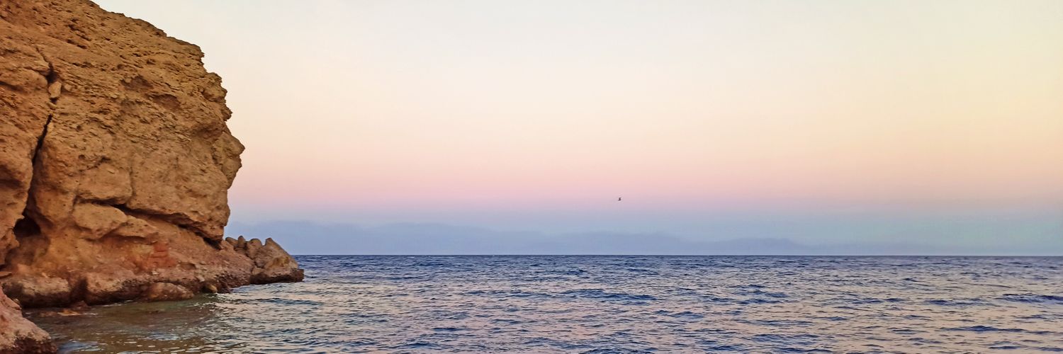 Mo_Abdou4's profile banner image
