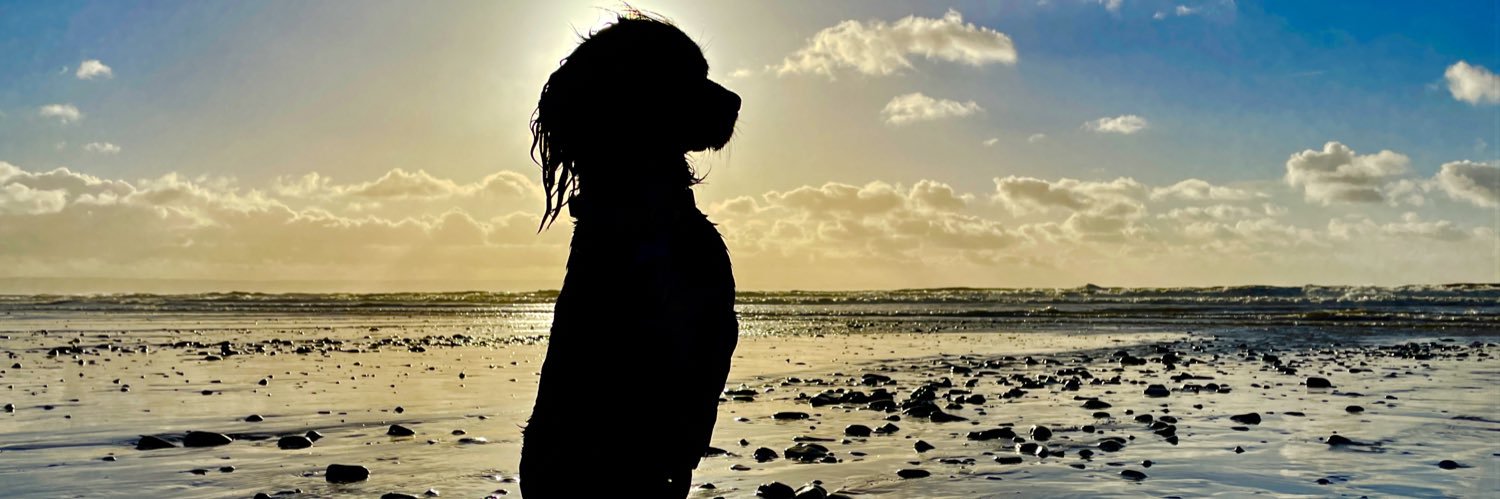 ryanleigh87's profile banner image