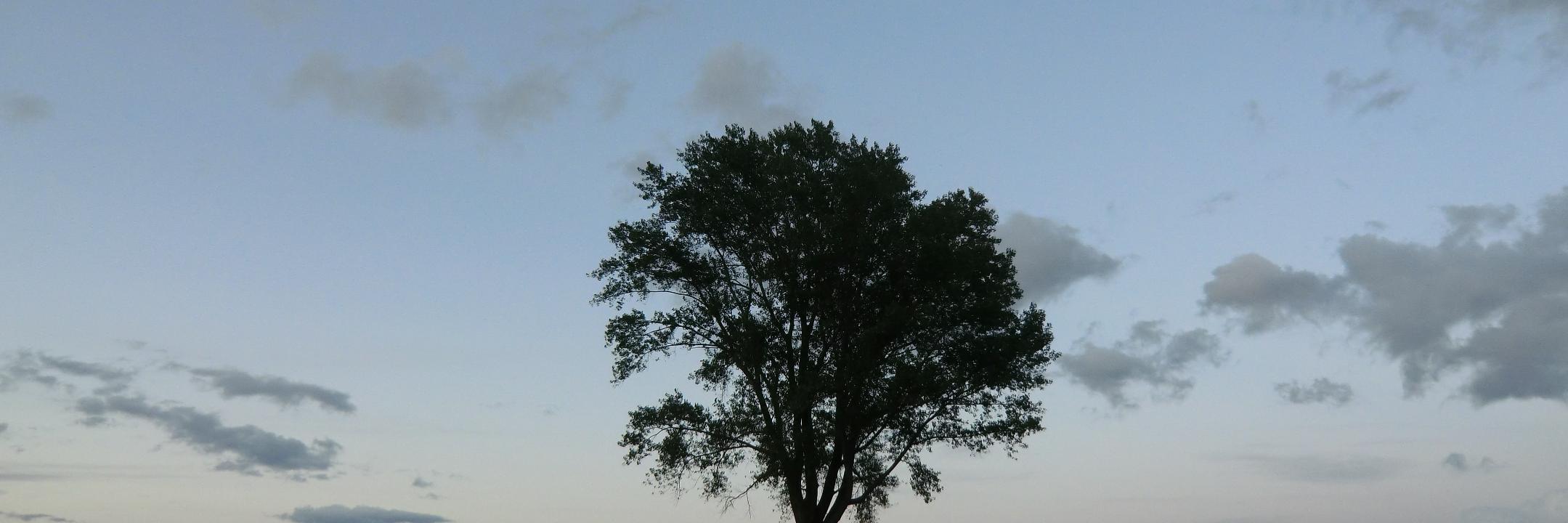 roiti46's profile banner image