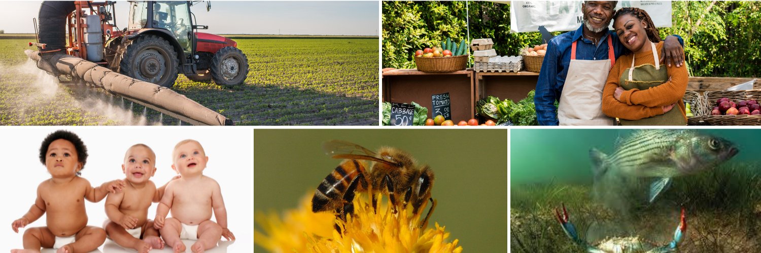 MdPesticideEdNetwork banner