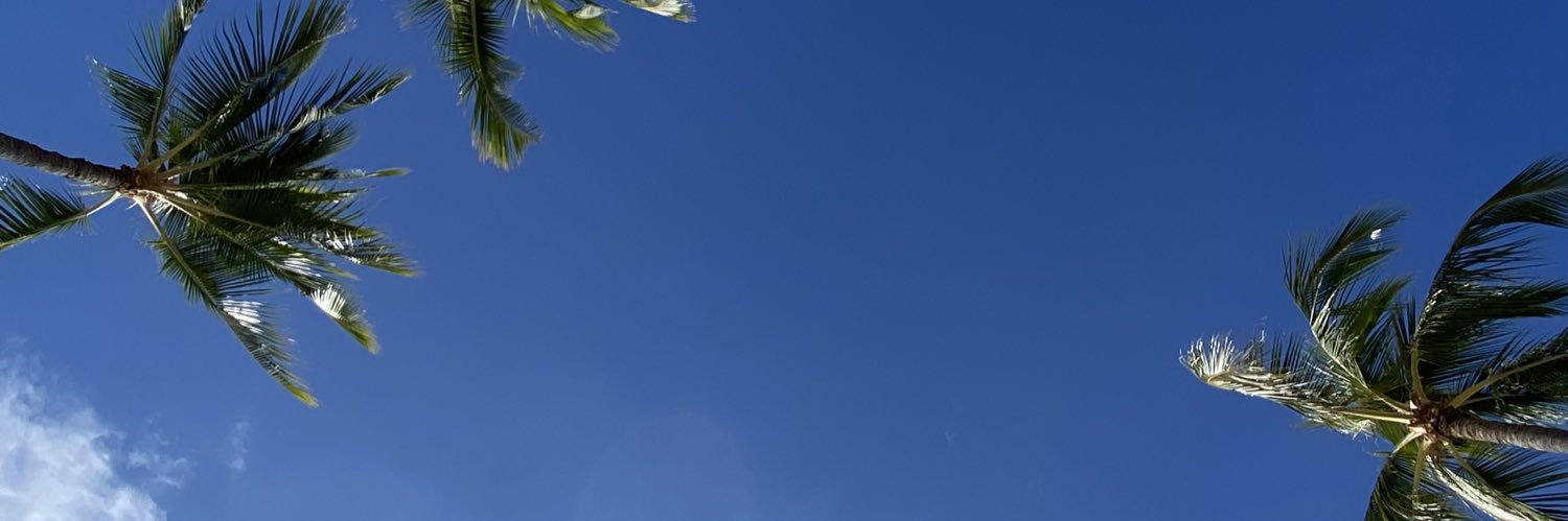 dom2bomb_'s profile banner image