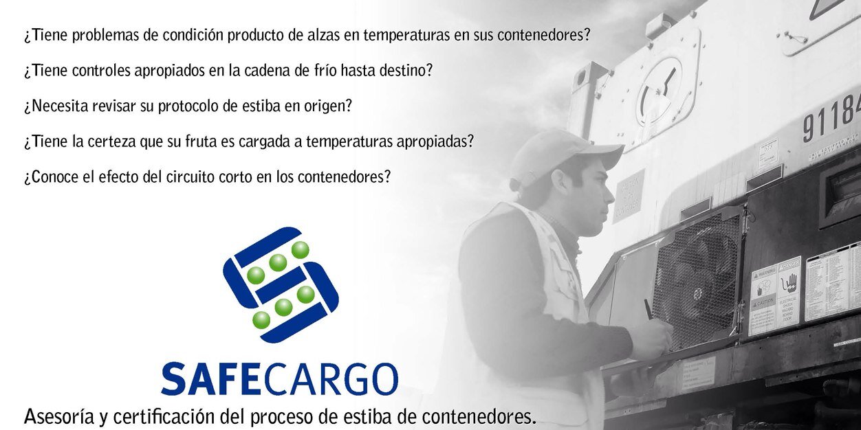 Safe Cargo (@SafeCargo_cl) / Posts / X