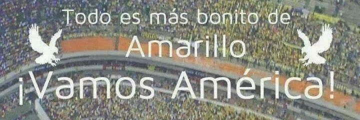 packomolina's profile banner image