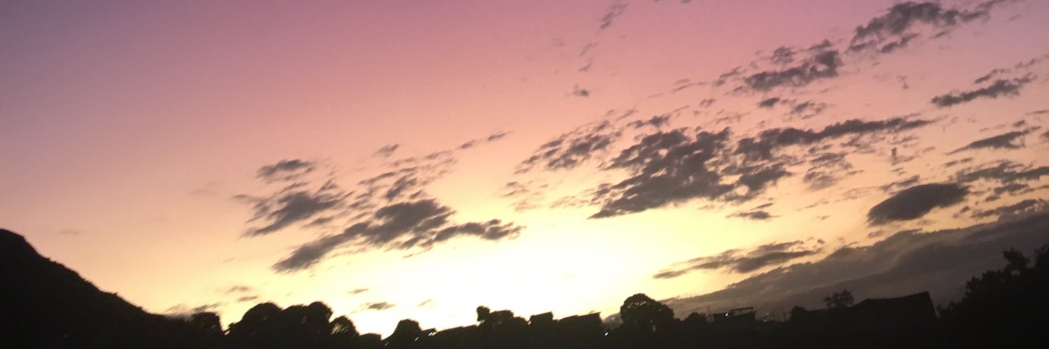 barbarelagomes's profile banner image