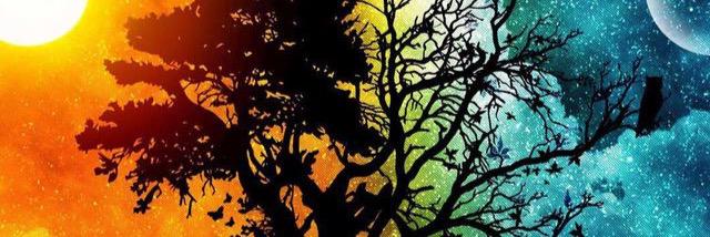 C_huffmannn's profile banner image
