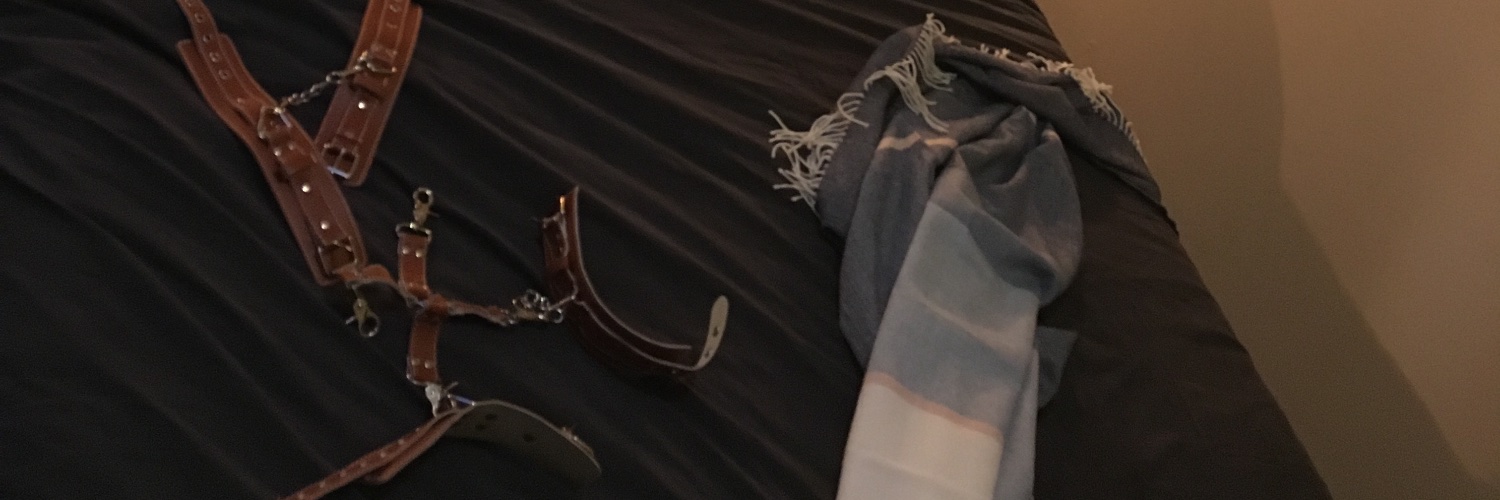 gapemaster_28's profile banner image