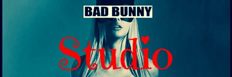 BadBunnyStudios's profile banner image