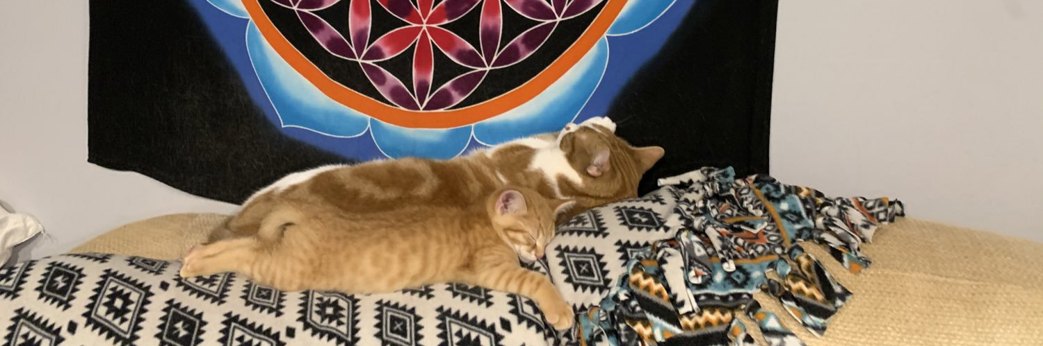 NCassack's profile banner image