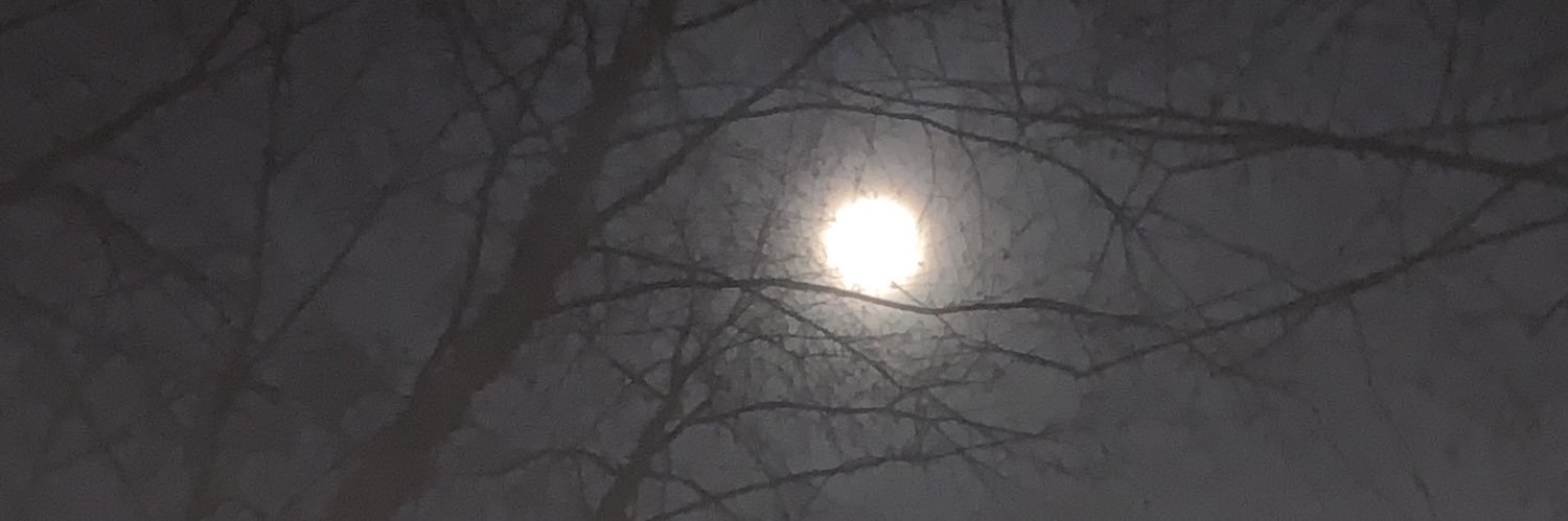 g1zzard0's profile banner image