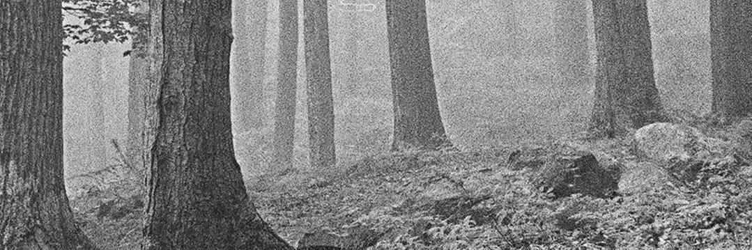 urlniceman's profile banner image