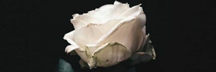 akumermaidd2's profile banner image