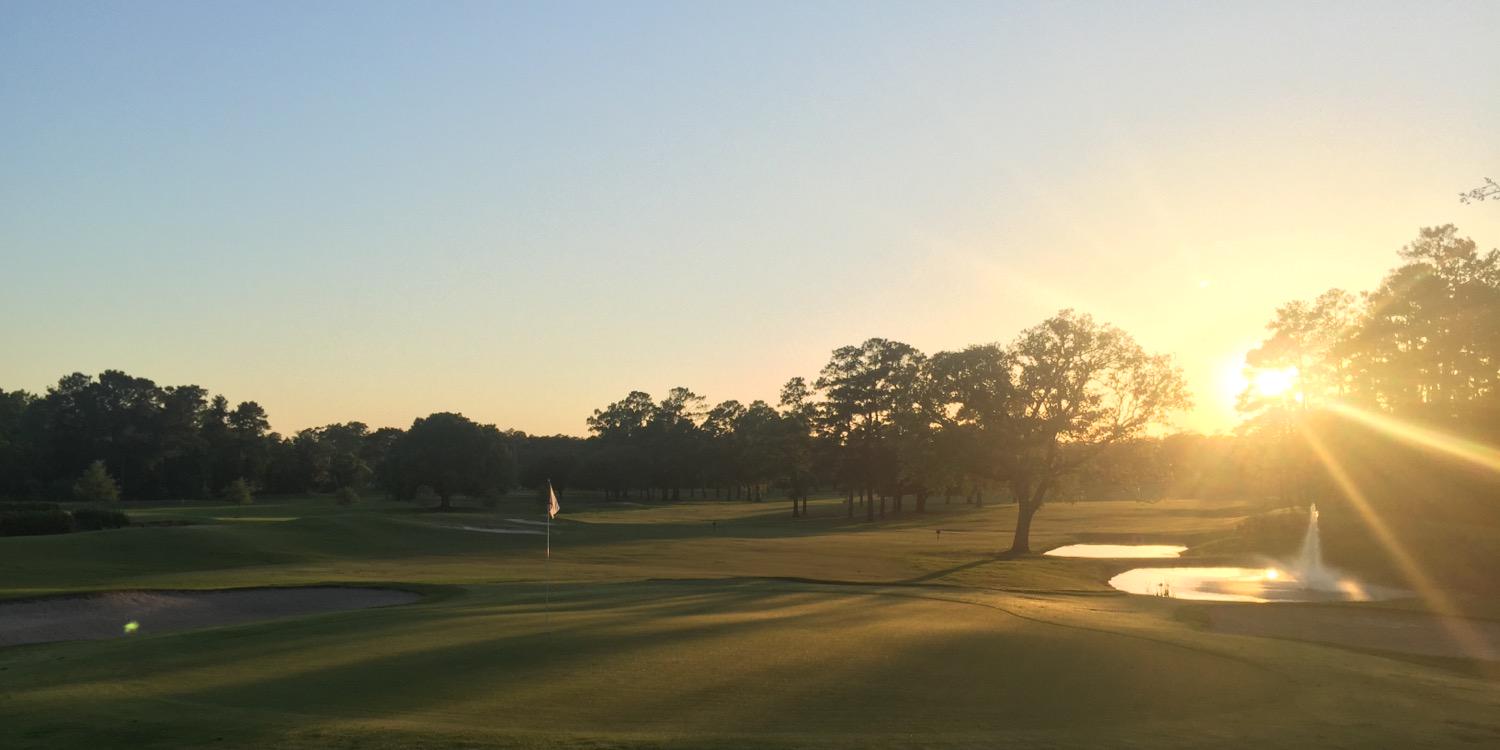 MurrayTurf's profile banner image