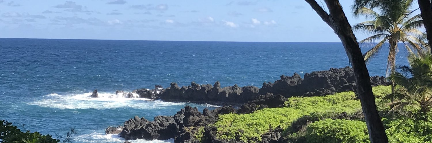 DwilsonDenise's profile banner image